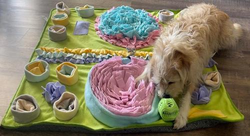 Show full view: Piggy Poo and Crew Double Bowl Snuffle Mat with Treat Ball & Paper Crinkle Squeakers Farm Toy, Large slide 6 of 9