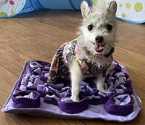 Show full view: Piggy Poo and Crew Farm Animal Snuffle Mat, Assorted Colors, 4 count slide 3 of 6