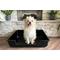 Show in main carousel: Piggy Poo and Crew Litter Box for Animals Big or Small, X-Large slide 5 of 11