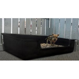 Piggy Poo and Crew Litter Box for Animals Big or Small, X-Large