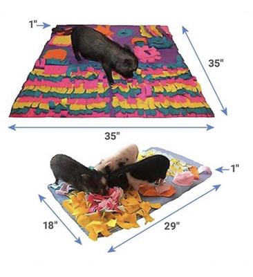 Show full view: Piggy Poo and Crew Pig Box Treat & Toy Kit, Blue slide 2 of 10