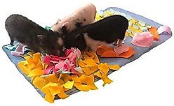 Piggy Poo and Crew Pig Rooting Snuffle Mat, Medium, 2 count