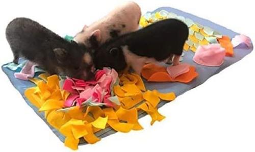 Show full view: Piggy Poo and Crew Pig Rooting Snuffle Mat, Medium slide 5 of 8
