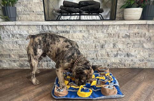 Show full view: Piggy Poo and Crew Pig Snuffle Mat, 18 x 20-in slide 5 of 8