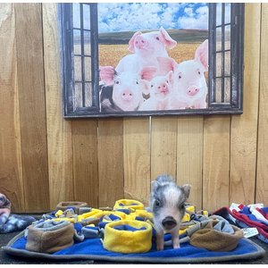 Piggy Poo and Crew Pig Snuffle Mat, 18 x 20-in