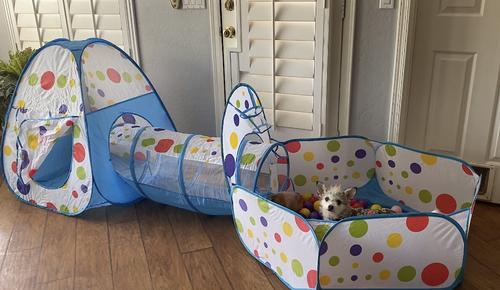 Show full view: Piggy Poo and Crew Play Tunnel & Pop Up Tent Round Ball Pit with 50 Balls Pet Toy slide 4 of 7