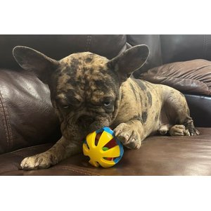 Piggy Poo and Crew Rattle Balls Farm Toy, Medium, 4 Count