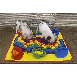Piggy Poo and Crew Rooting Snuffle Pig Mat, Rainbow, 18 x 20-in
