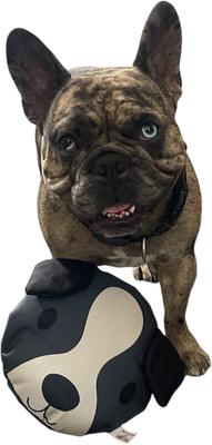 Show full view: Piggy Poo and Crew Ruffhouse Dog & Cat Squeaky Disc Toy, 2 count slide 3 of 4