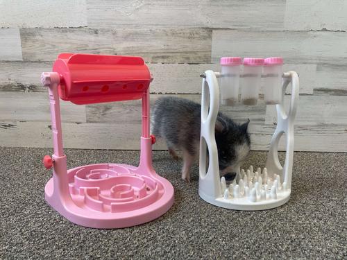 Show full view: Piggy Poo and Crew Slow Feeder Pet Games Combo Pig Toys, 2 count, Pink slide 2 of 5