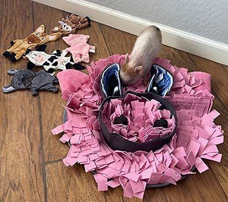 Show full view: Piggy Poo and Crew Snuffle Rooting Mats Farm Toy, 3 count slide 5 of 6