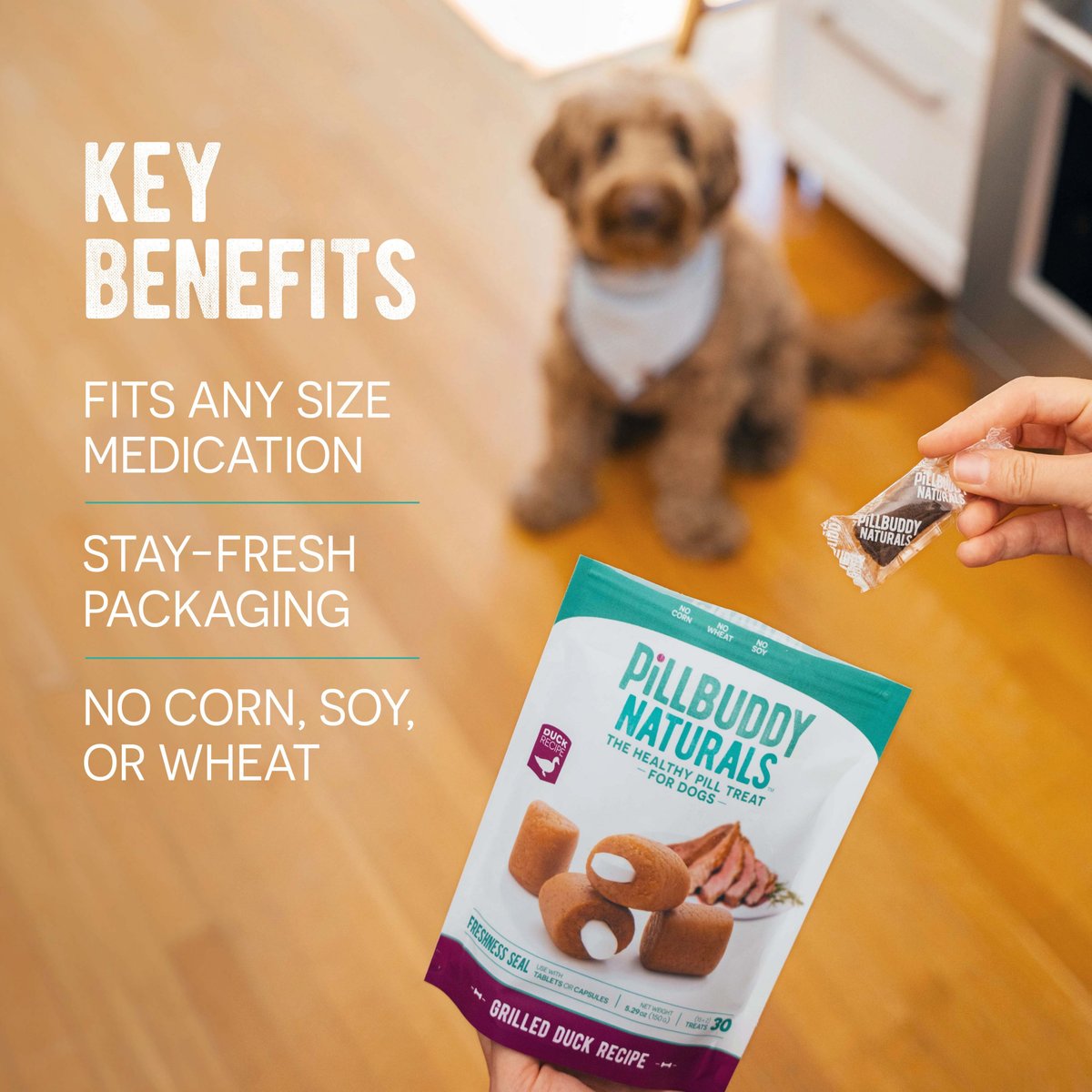 Pill Buddy Naturals Peanut Butter & Apple Soft & Chewy Dog Treats