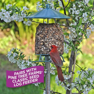 Show full view: Pine Tree Farms FruitBerry Nut Classic Seed Log Wild Bird Food, 28-oz tub slide 4 of 9