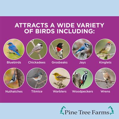 Show full view: Pine Tree Farms FruitBerry Nut Classic Seed Log Wild Bird Food, 28-oz tub slide 3 of 9