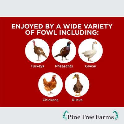 Show full view: Pine Tree Farms Hen Pecked Mealworm Banquet Classic Hanging Seed Log Chicken Treats, 28-oz tub slide 2 of 7