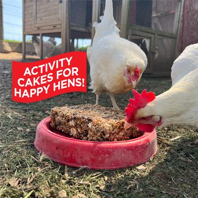 Show full view: Pine Tree Farms Hen Pecked Mealworm Banquet Hanging Cake Chicken Treats, 1.75-lb cake slide 3 of 7