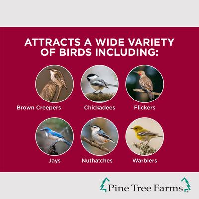 Show full view: Pine Tree Farms Tree Icing Suet Spread Wild Bird Food, 28-oz tub slide 3 of 10