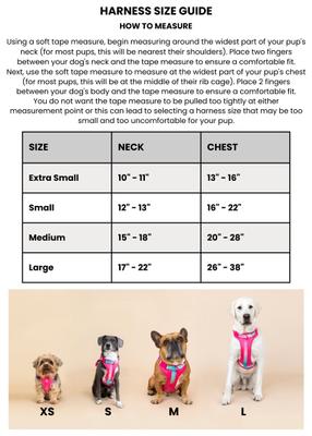 Show full view: Pink Papyrus Adjustable Cushioned Dog Harness, Black, Medium: 20 to 28-in chest slide 8 of 11