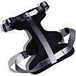 Show in main carousel: Pink Papyrus Adjustable Cushioned Dog Harness, Black, Small: 16 to 22-in chest slide 2 of 10