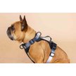 Show in main carousel: Pink Papyrus Adjustable Cushioned Dog Harness, Black, Small: 16 to 22-in chest slide 4 of 10