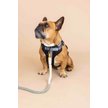Show in main carousel: Pink Papyrus Adjustable Cushioned Dog Harness, Black, Small: 16 to 22-in chest slide 5 of 10