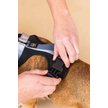 Show in main carousel: Pink Papyrus Adjustable Cushioned Dog Harness, Black, Small: 16 to 22-in chest slide 6 of 10