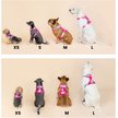 Show in main carousel: Pink Papyrus Adjustable Cushioned Dog Harness, Black, Small: 16 to 22-in chest slide 8 of 10
