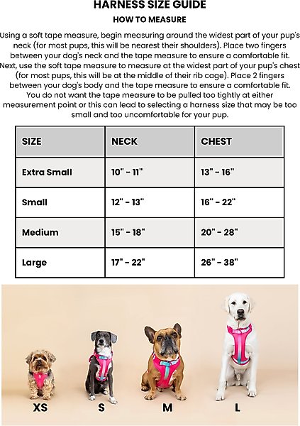 Show full view: Pink Papyrus Adjustable Cushioned Dog Harness, Black, Small: 16 to 22-in chest slide 7 of 10