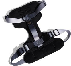 Pink Papyrus Adjustable Cushioned Dog Harness, Black, X-Small: 13 to 16-in chest