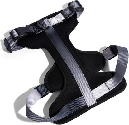 Show full view: Pink Papyrus Adjustable Cushioned Dog Harness, Black, X-Small: 13 to 16-in chest slide 2 of 10