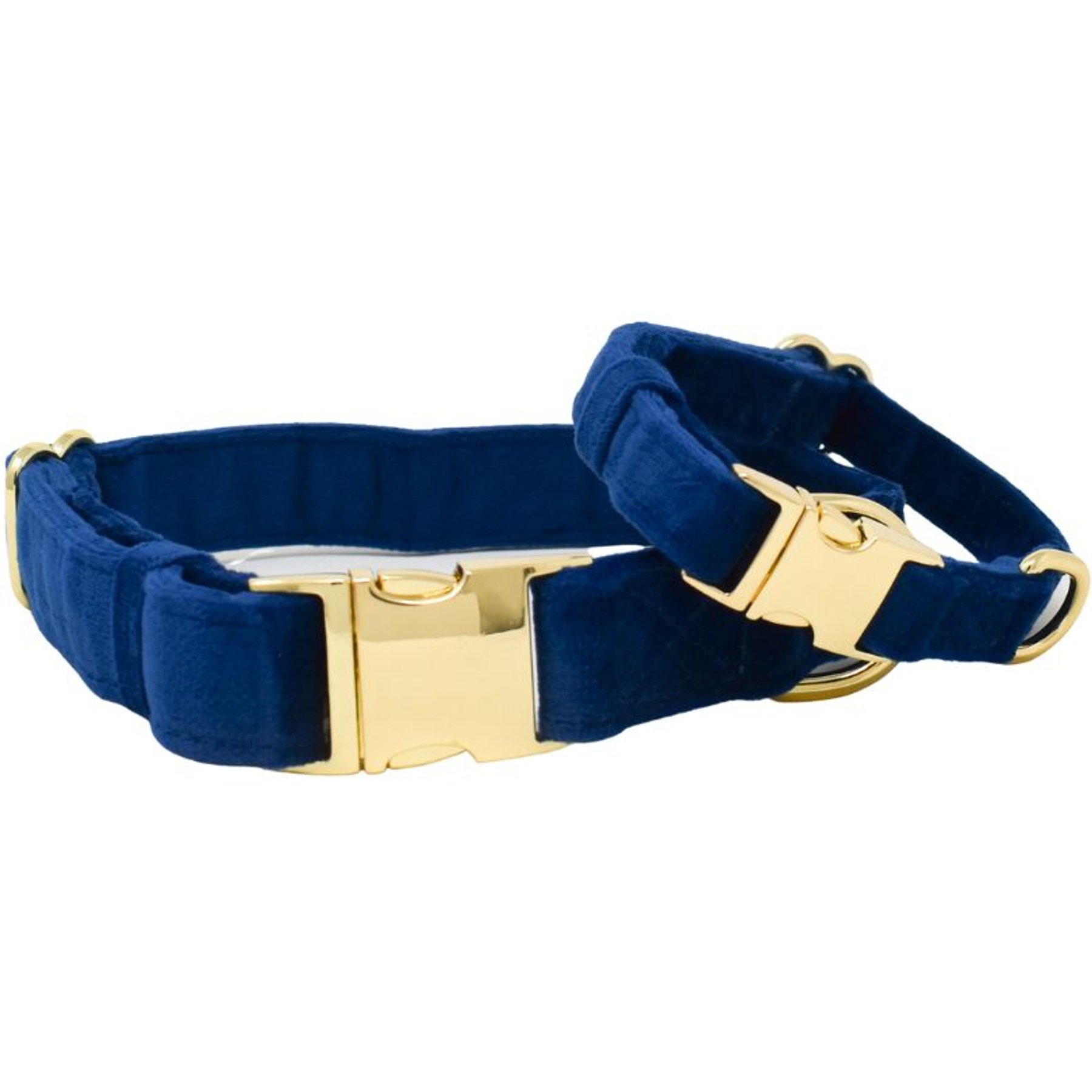 Pink Papyrus Synthetic Dog Collar, Blue, Large: 18 to 28-in neck 1-in wide