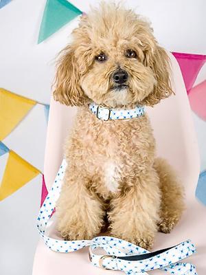 Show full view: Pink Papyrus Blue White Polyester Dog Collar, Large: 18 to 28-in neck 1-in wide slide 4 of 5