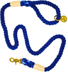Pink Papyrus Cotton Rope Dog Leash, Blue, 6-ft long, 1/2-in wide