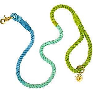 Pink Papyrus Cotton Rope Dog Leash, Blue Green Ombre, 6-ft long, 1/2-in wide
