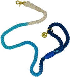 Pink Papyrus Cotton Rope Dog Leash, Blue Ombre, 6-ft long, 1/2-in wide