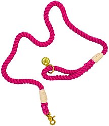 Pink Papyrus Cotton Rope Dog Leash, Pink, 4-ft long, 1/2-in wide