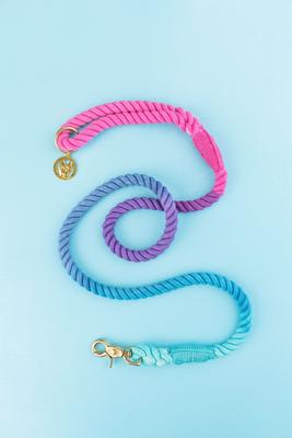 Show full view: Pink Papyrus Cotton Rope Dog Leash, Pixie, 4-ft long, 1/2-in wide slide 7 of 9