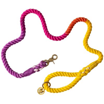 Pink Papyrus Pink Papyrus Cotton Rope Dog Leash, Purple Yellow, 4-ft long, 1/2-in wide