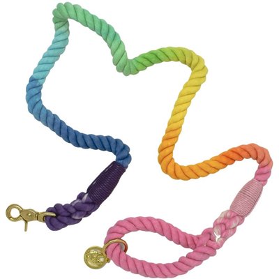 Pink Papyrus Pink Papyrus Cotton Rope Dog Leash, Rainbow, 4-ft long, 1/2-in wide