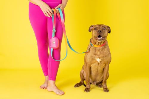 Show full view: Pink Papyrus Dog Poop Bag Dispenser & Treat Pouch, Hot Pink slide 4 of 11