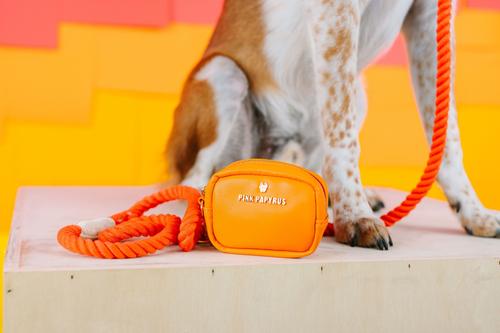 Show full view: Pink Papyrus Dog Poop Bag Dispenser & Treat Pouch, Orange slide 6 of 11