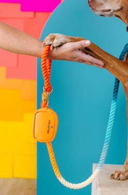 Show full view: Pink Papyrus Dog Poop Bag Dispenser & Treat Pouch, Orange slide 5 of 11