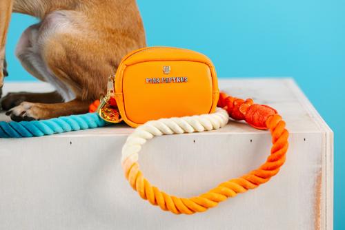 Show full view: Pink Papyrus Dog Poop Bag Dispenser & Treat Pouch, Orange slide 8 of 11