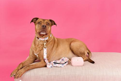 Show full view: Pink Papyrus Dog Poop Bag Dispenser & Treat Pouch, Pink slide 5 of 9