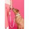 Show in main carousel: Pink Papyrus Dog Poop Bag Dispenser & Treat Pouch, Pink slide 4 of 9