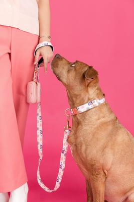 Show full view: Pink Papyrus Dog Poop Bag Dispenser & Treat Pouch, Pink slide 4 of 9