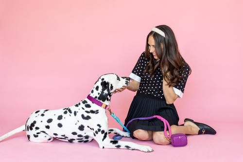 Show full view: Pink Papyrus Dog Poop Bag Dispenser & Treat Pouch, Purple slide 9 of 11