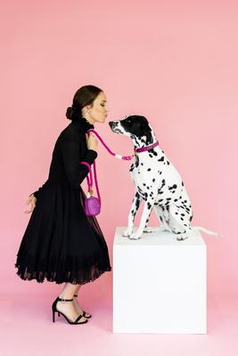 Show full view: Pink Papyrus Dog Poop Bag Dispenser & Treat Pouch, Purple slide 6 of 11