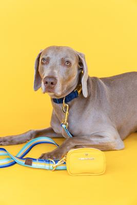 Show full view: Pink Papyrus Dog Poop Bag Dispenser & Treat Pouch, Yellow slide 6 of 10