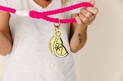 Pink Papyrus Lemon Slice Potty Pick Up Dog Poop Bag Holder slide 2 of 4